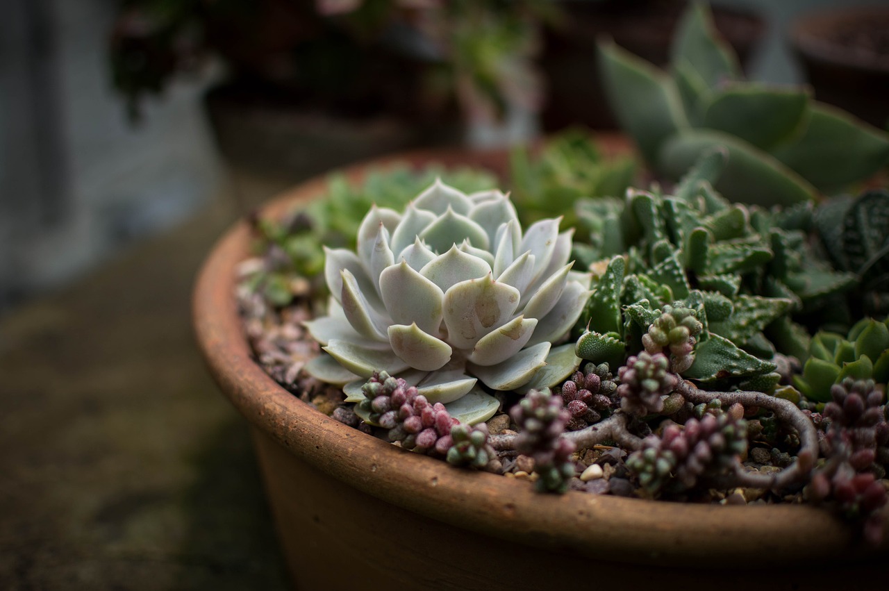 10 Fun Projects for Crafting with Clay